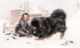 тибетский мастиф, тибетские собаки, купить тибетского мастифа, купить тибетскогом мастифа из тибета, сколько стоит тибетский мастиф, щенки тибетского мастифа